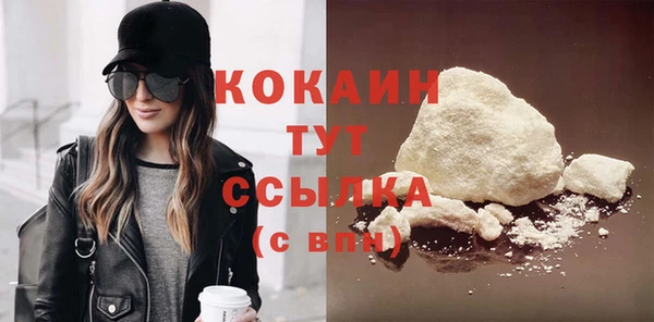 прущие грибы Баксан