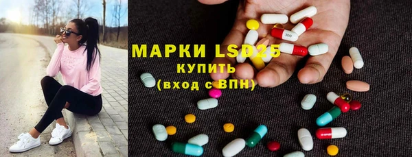 прущие грибы Баксан