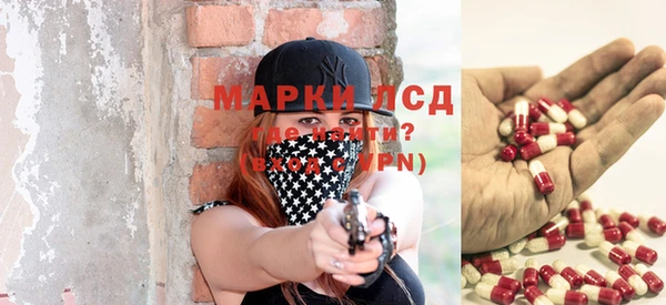 прущие грибы Баксан