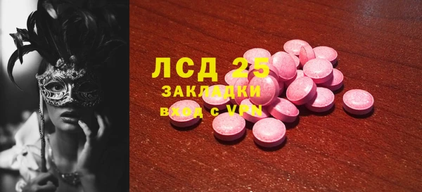 прущие грибы Баксан