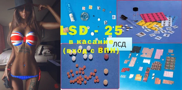 прущие грибы Баксан