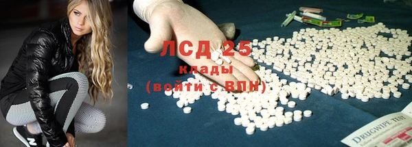 прущие грибы Баксан
