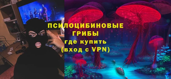 прущие грибы Баксан