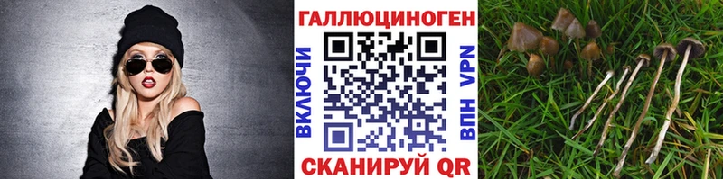 Псилоцибиновые грибы MAGIC MUSHROOMS  закладки  Губаха 